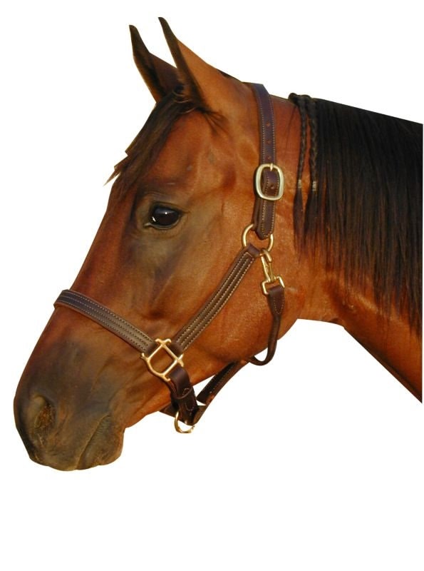 Deluxe Leather Track Halter