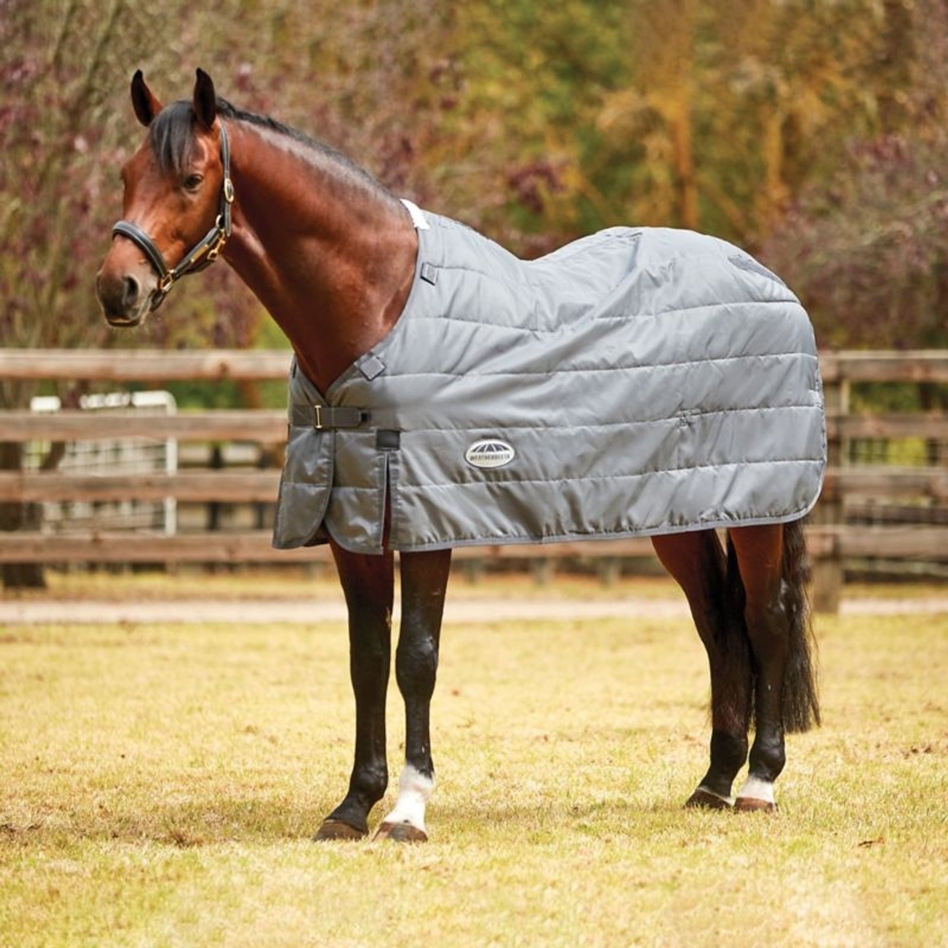 WeatherBeeta ComFiTec Liner Medium