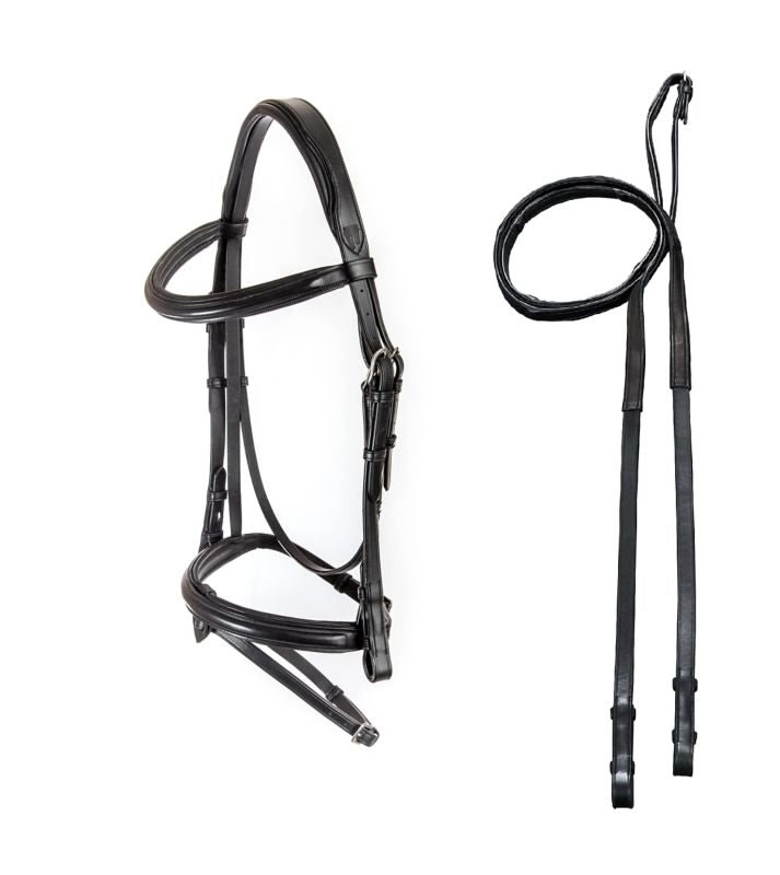 Arc de Triomphe Chateau Dressage Bridle