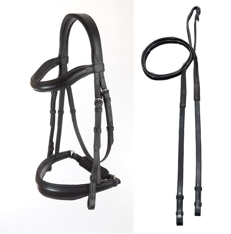 Arc de Triomphe Leon Dressage Bridle