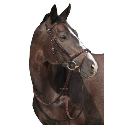 Stubben RFS Leitrim Bridle