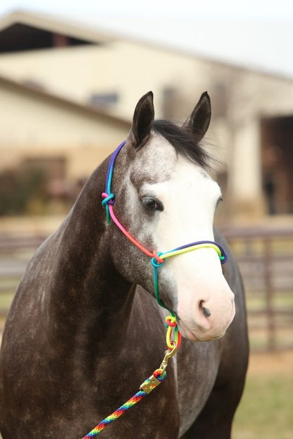 Equisky Rainbow Rope Halter