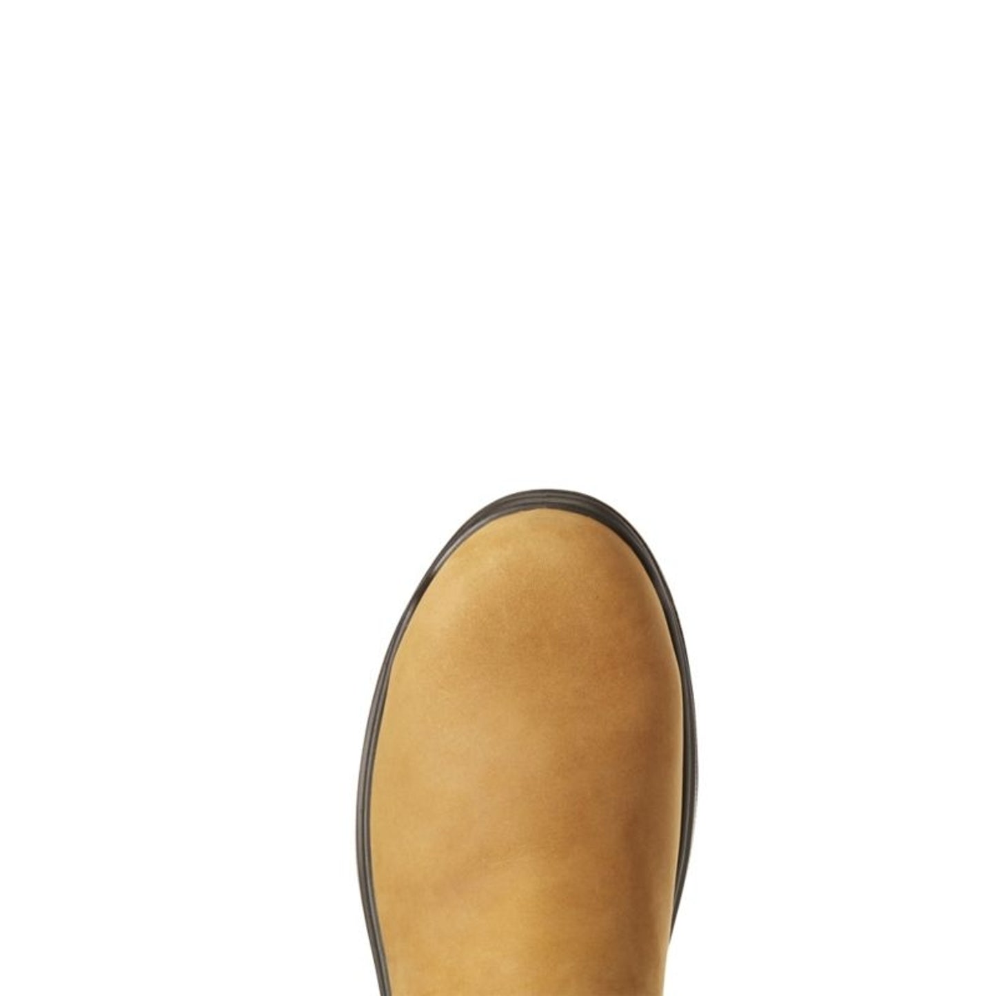 TE034170_03.jpg