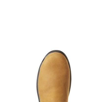 TE034170_03.jpg