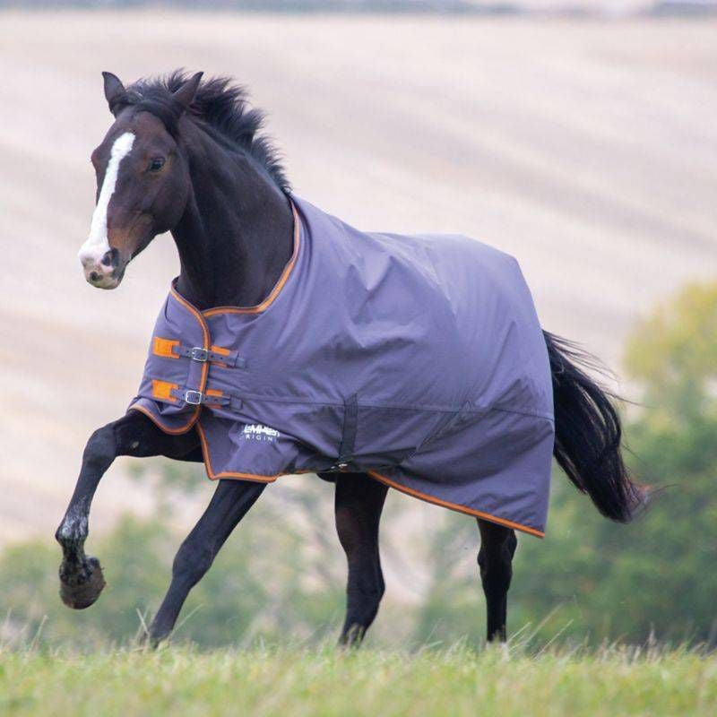 Shires Tempest Original 200g TO