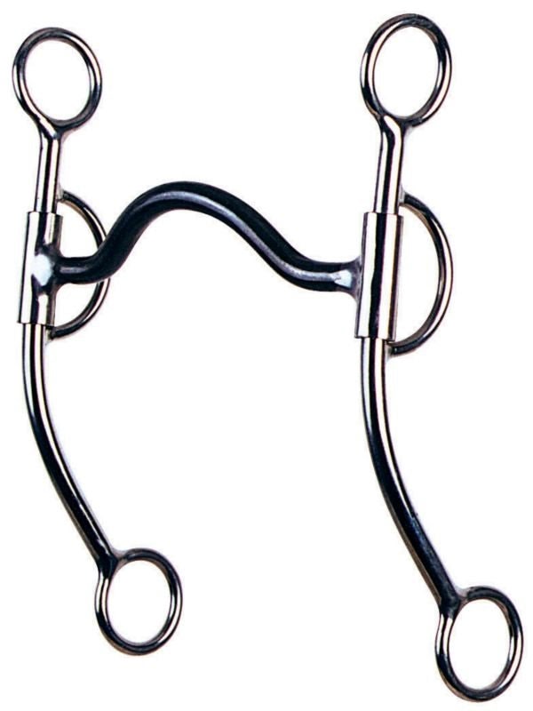 Reinsman Ported Mullen D and L Reiner Bit