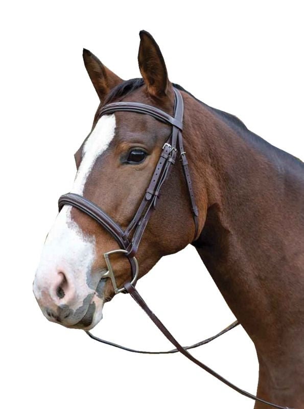 Shires Avignon Ocala Bridle