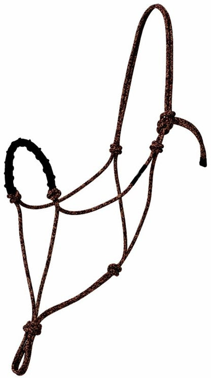 TE035680.jpg