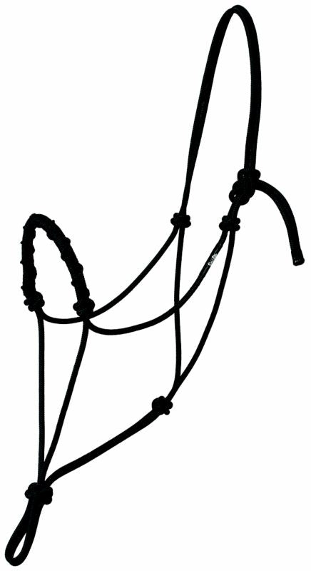TE035680_881530.jpg