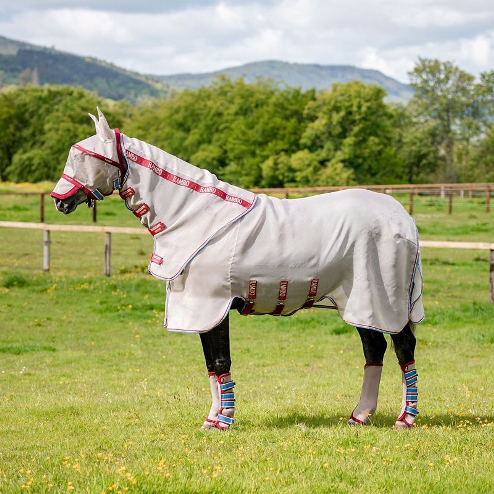 Amigo Summer Sheet Plus
