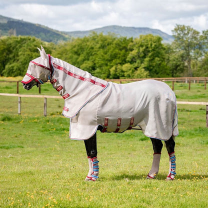 Amigo Summer Sheet Plus
