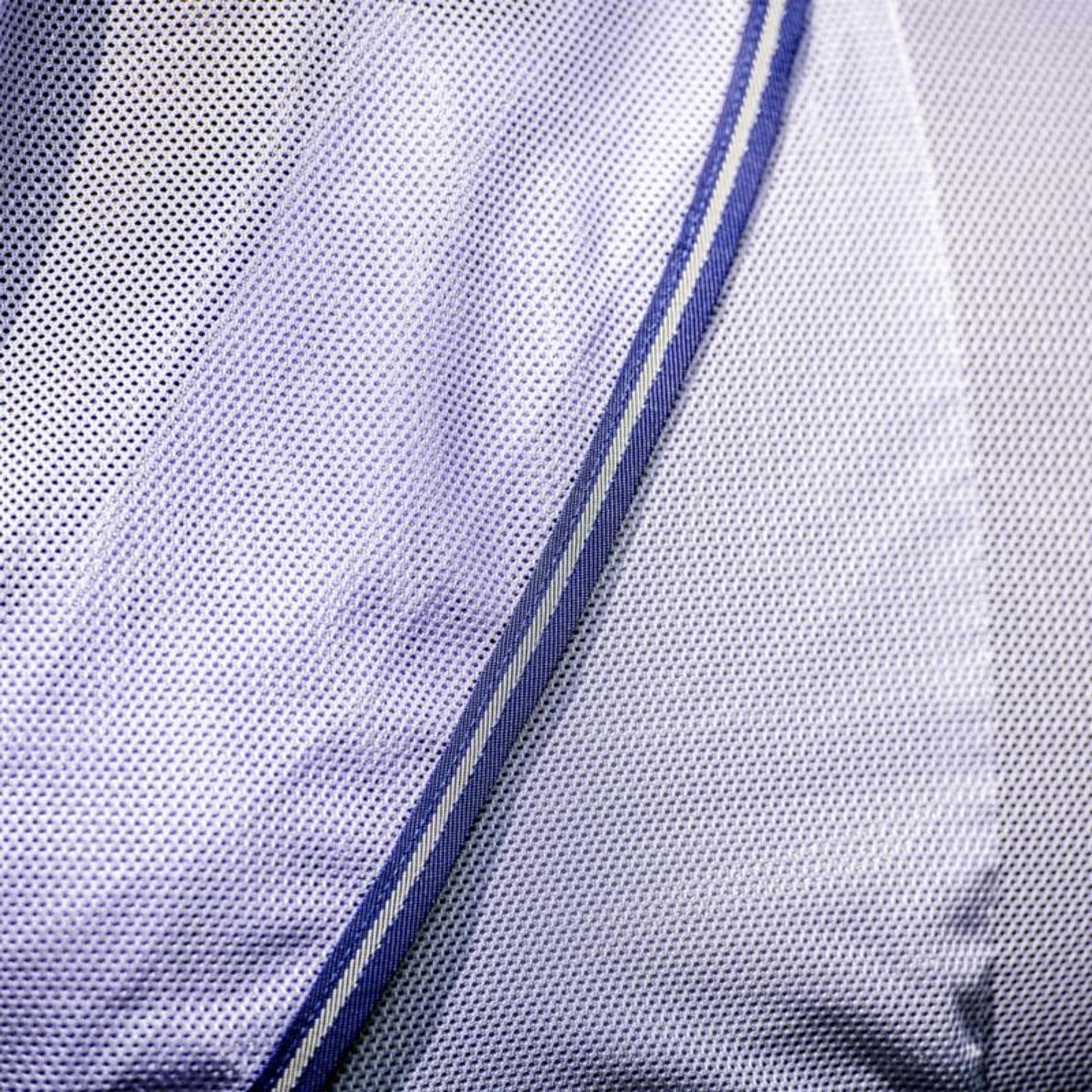 TE036040_03.jpg