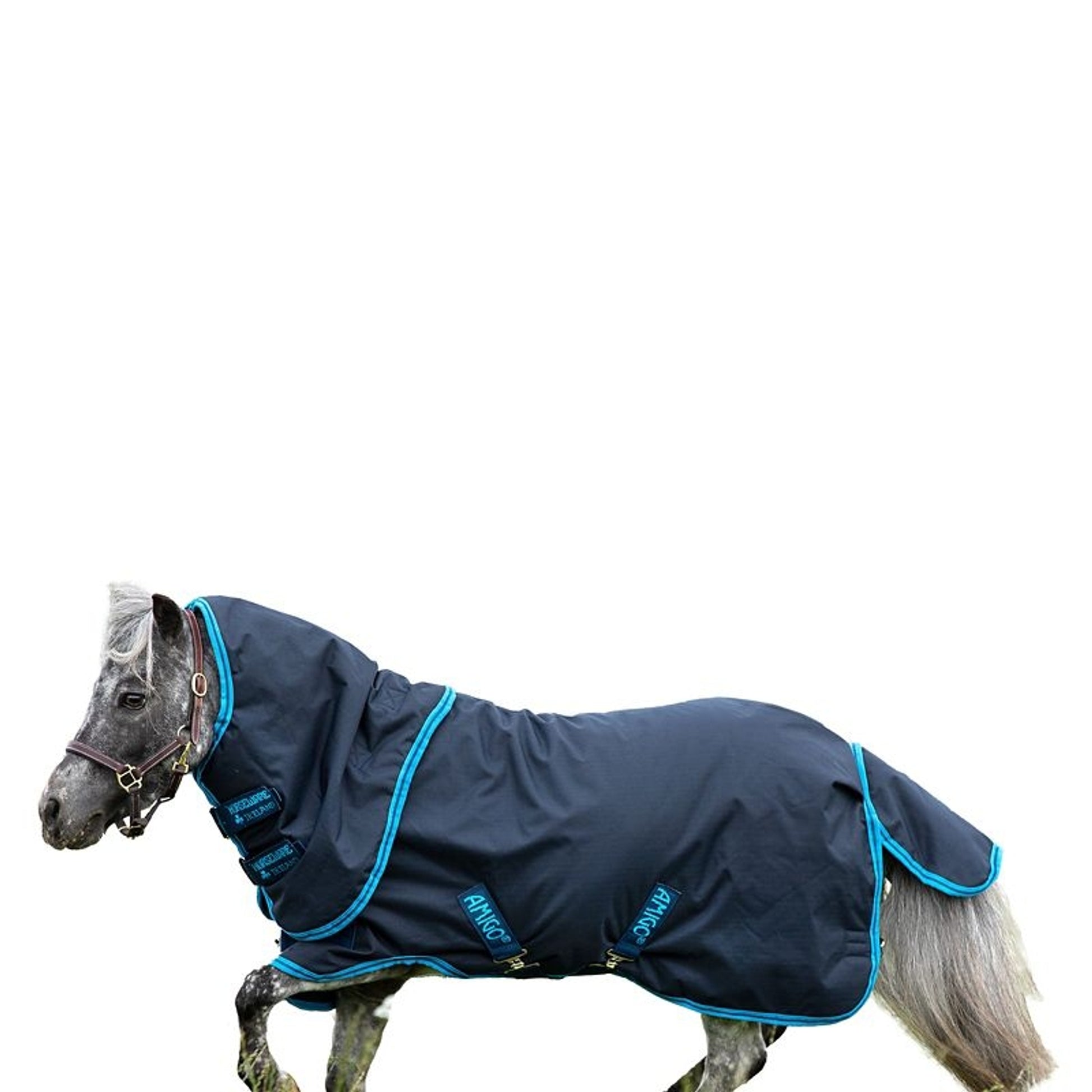 TE036049_P_WO.jpg