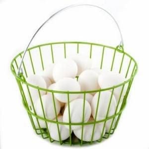 Ware Coated Wire Egg Basket Green 8.5