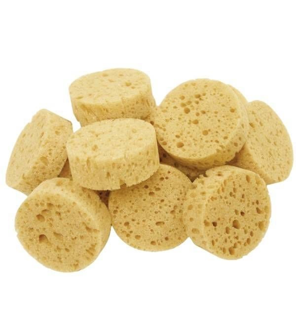 Jacks Economy Tack Sponges Pack of 12
