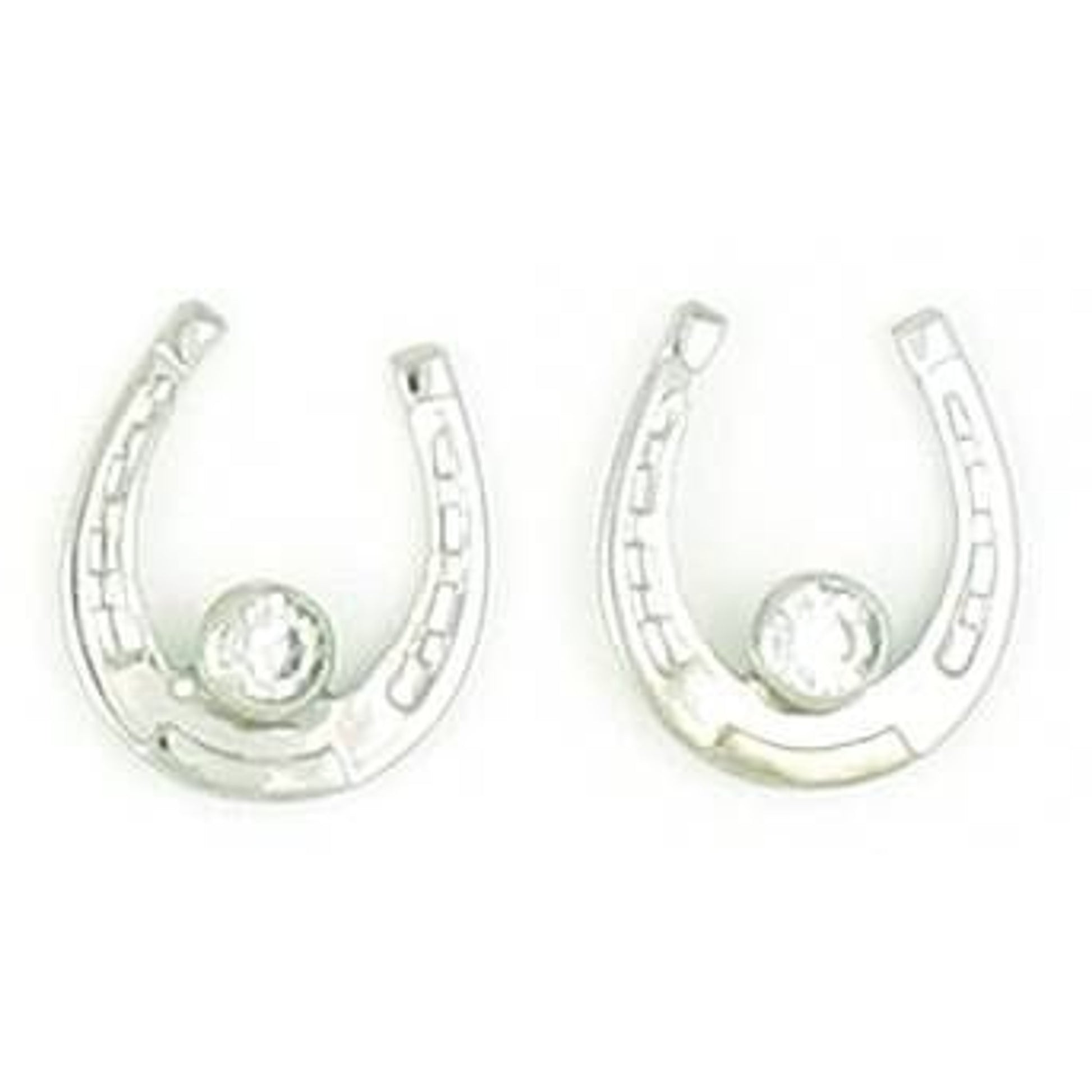 Finishing Touch Horseshoe with Large Stone Earrings