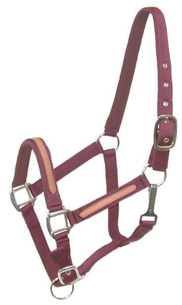 Gatsby Padded Halter with Leather Overlay Burg Cob