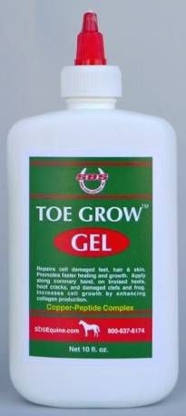 TE039541.jpg