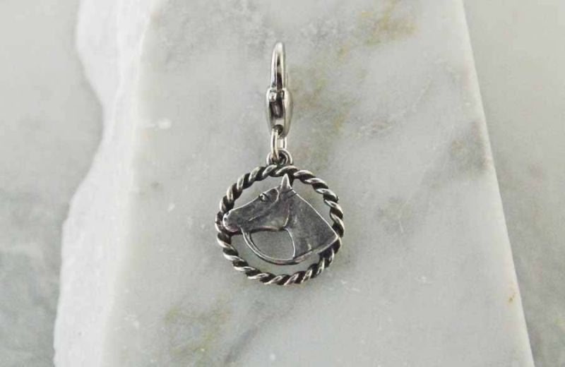 Barbary Horse Head In Rope Circle Silver