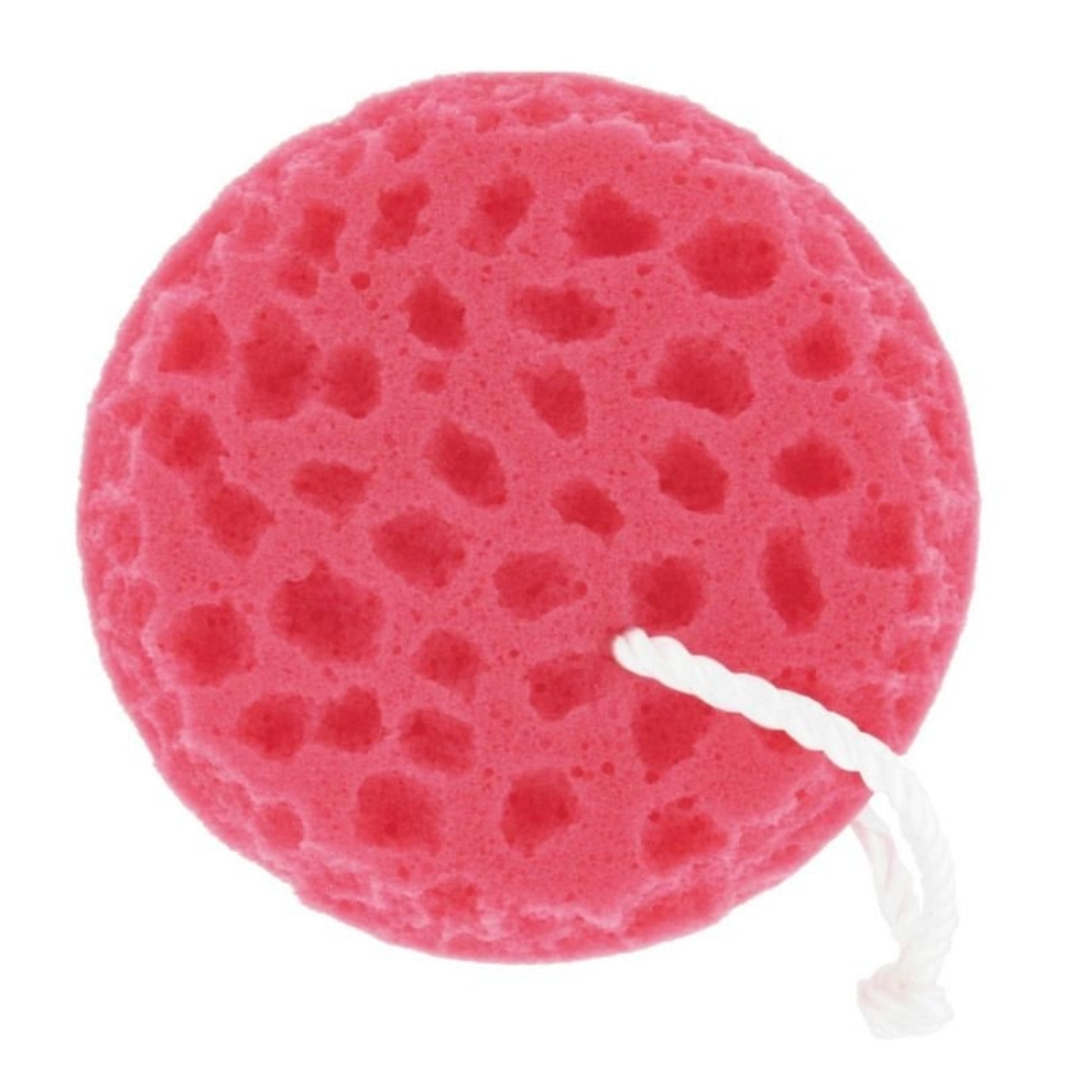 Tail Tamer Sponge On A Rope