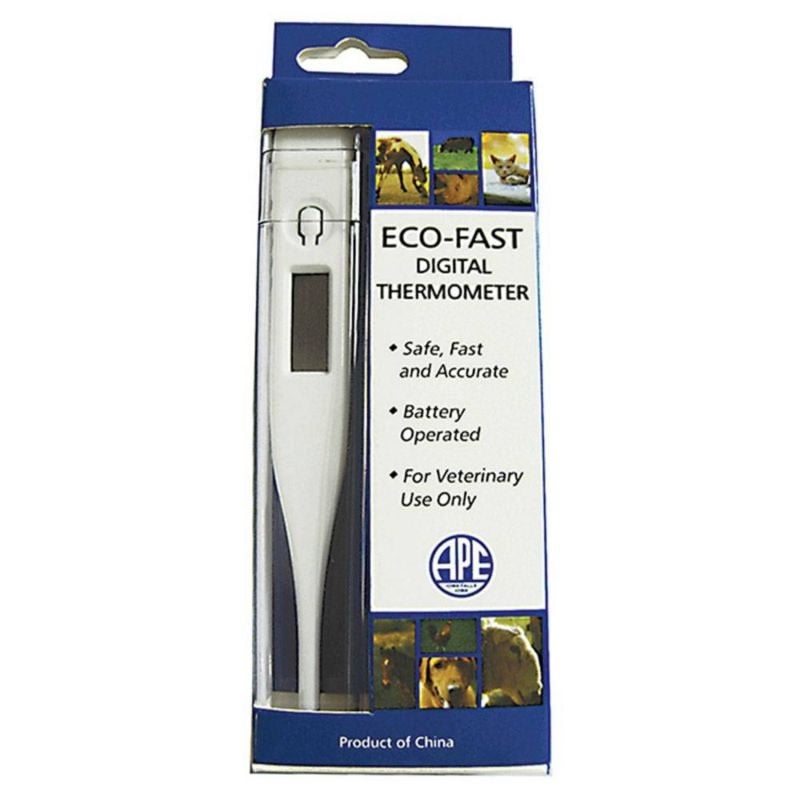 EcoFast Digital Thermometer