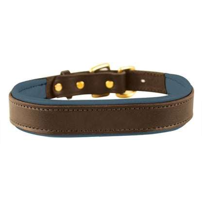 Perris Padded Leather Dog Collar