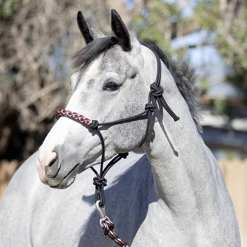 Kensington Clinician Rope Halter