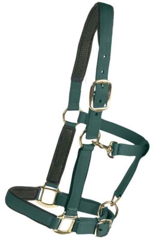 Centaur Super Padded Comfort Halter