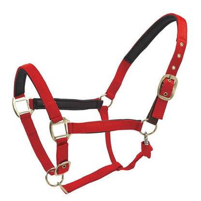 TE041158_RED_01.jpg