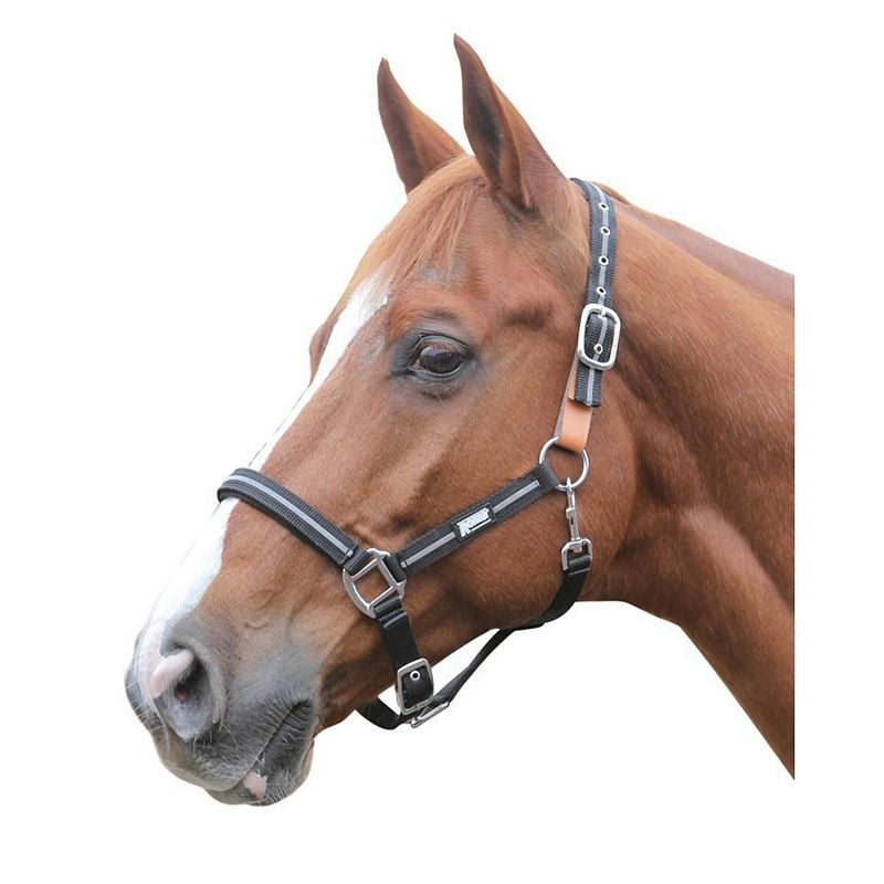 Roma Reflective Breakaway Halter