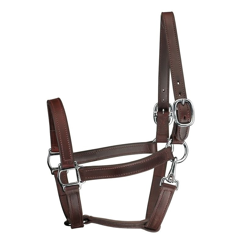 Perris 1In Track T/O Halter with Snap