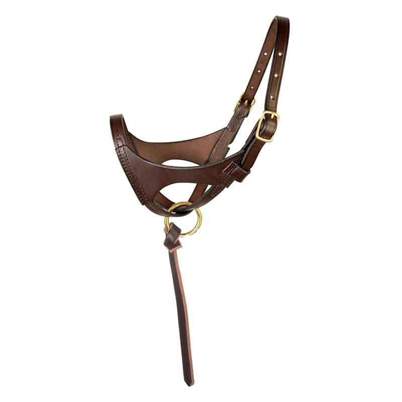 Perris Leather Premium Havana Foal Halter