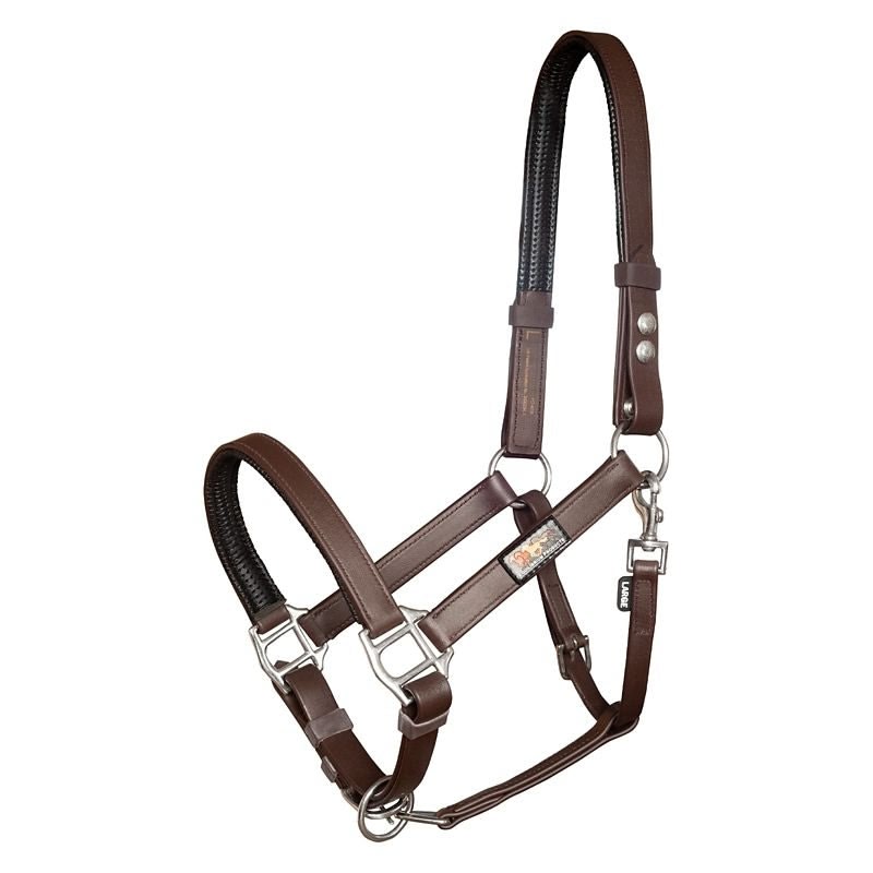 Equilibrium Stellar Safety Head Collar