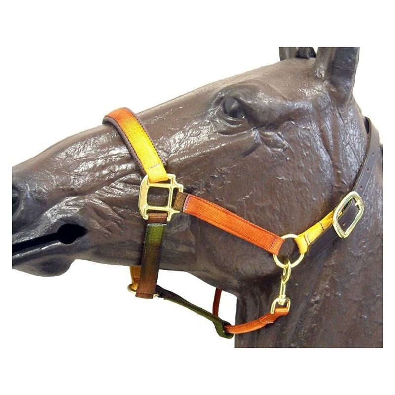 Horse Fare Nylon Breakaway Halter