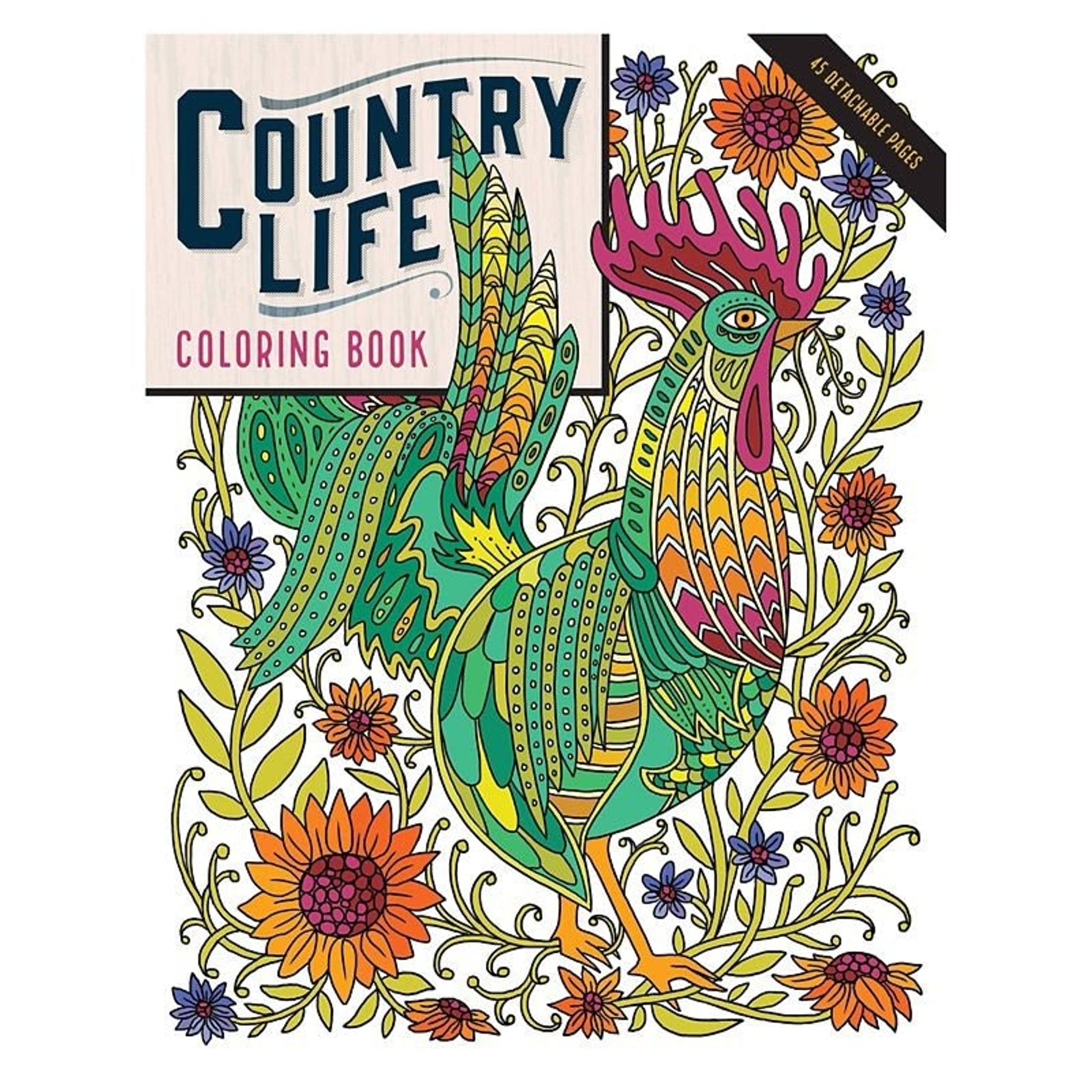 Kelley Country Life Coloring Book