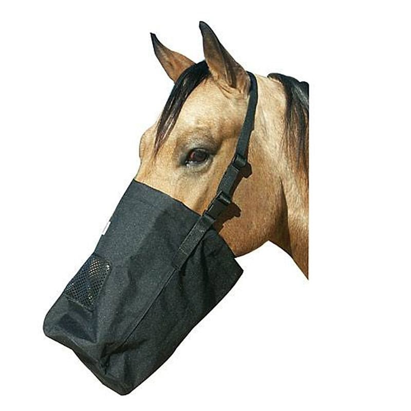 TE042793_P.jpg