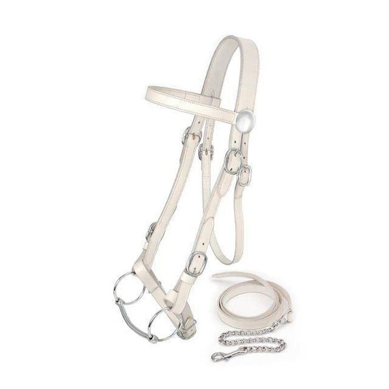 King Series Draft Horse Show Halter w.Lead