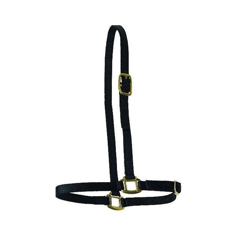 Perris Nylon Grooming Halter