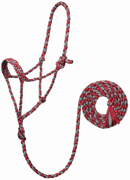 TE043736_919439_01.jpg