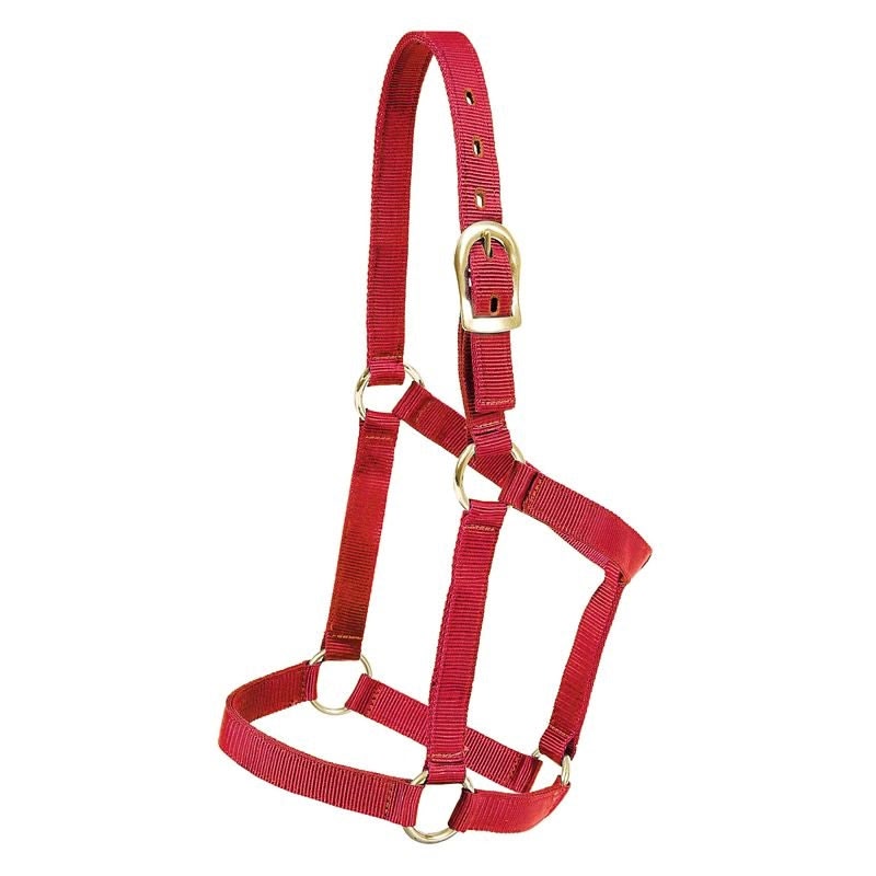 Mustang Yearling Economy Halter