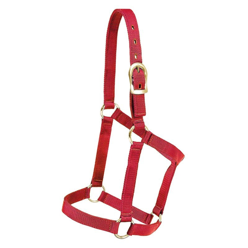 Mustang Foal Economy Halter