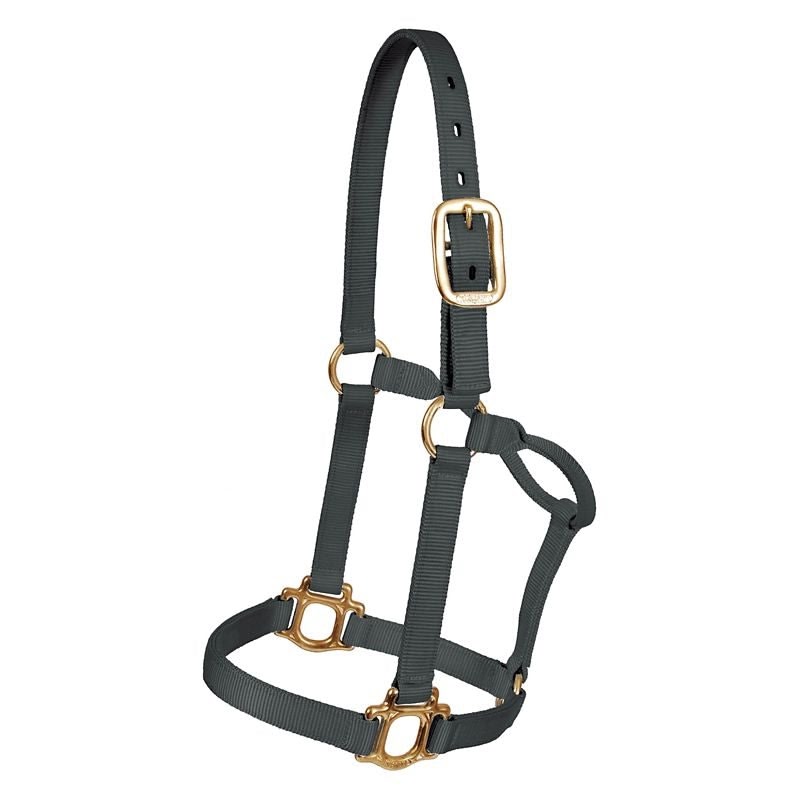 Mustang Large Traditional Nylon Halter