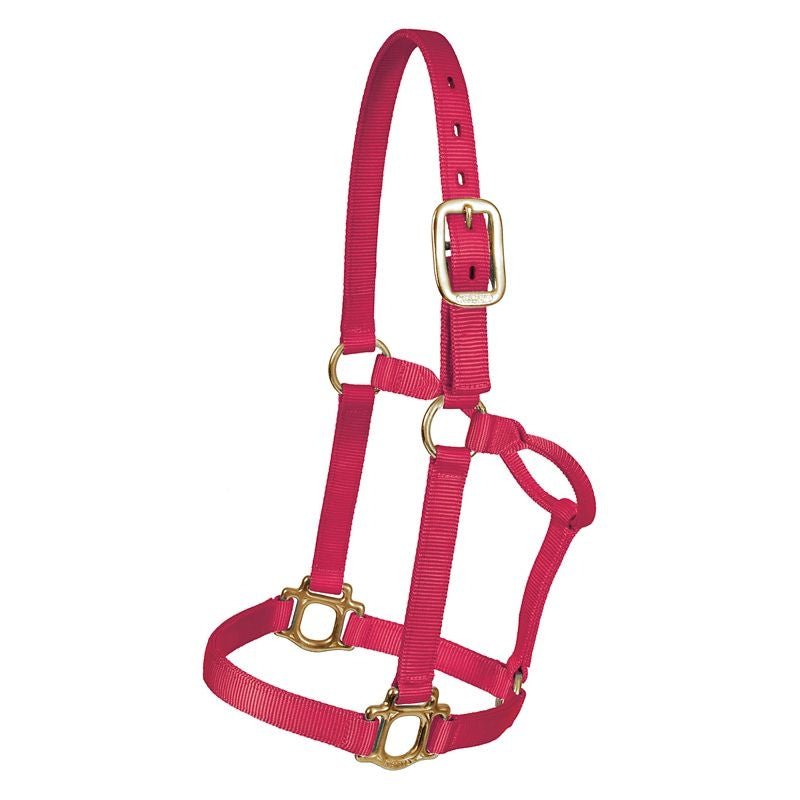 Mustang Regular Traditional Nylon Halter