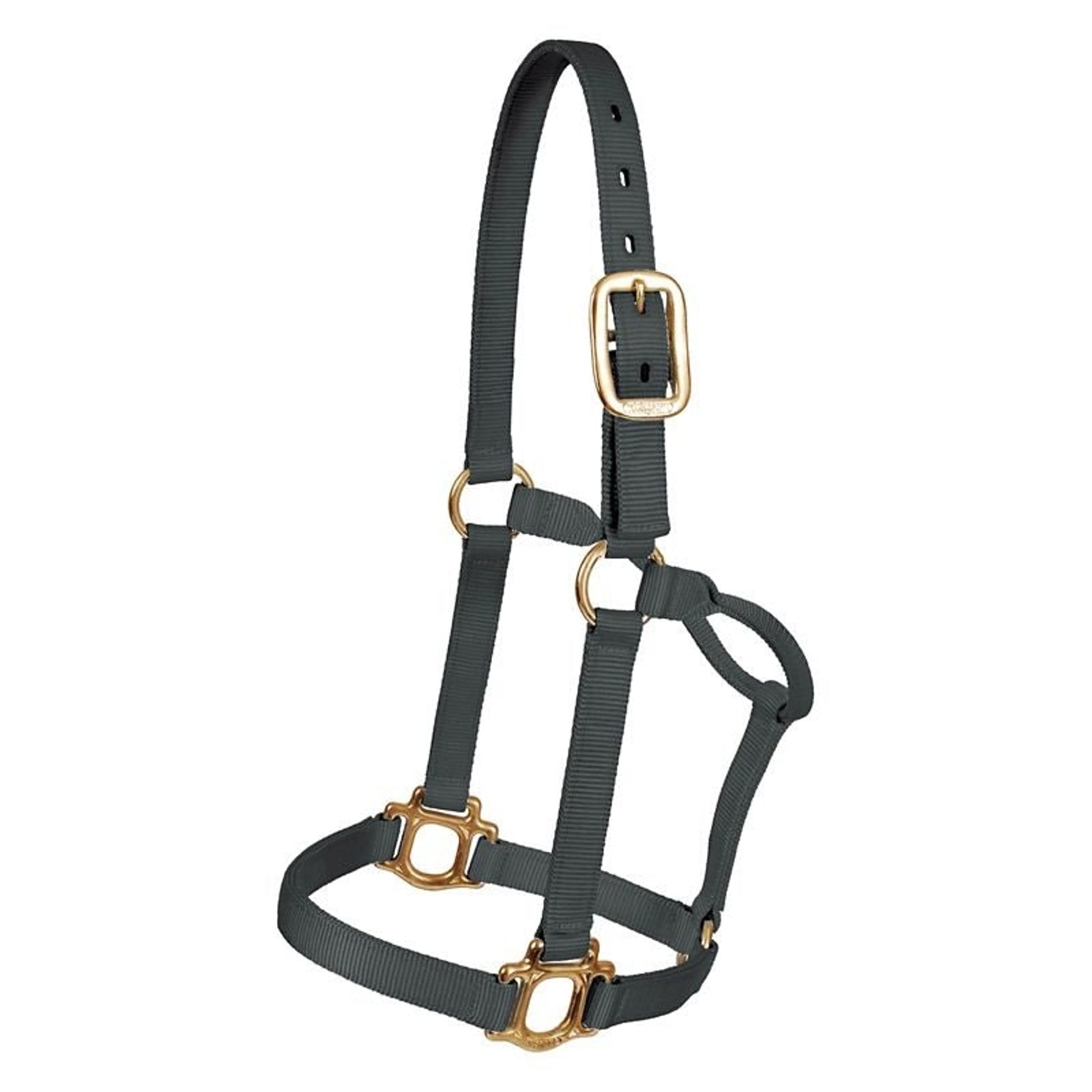 Mustang Colt Traditional Nylon Halter