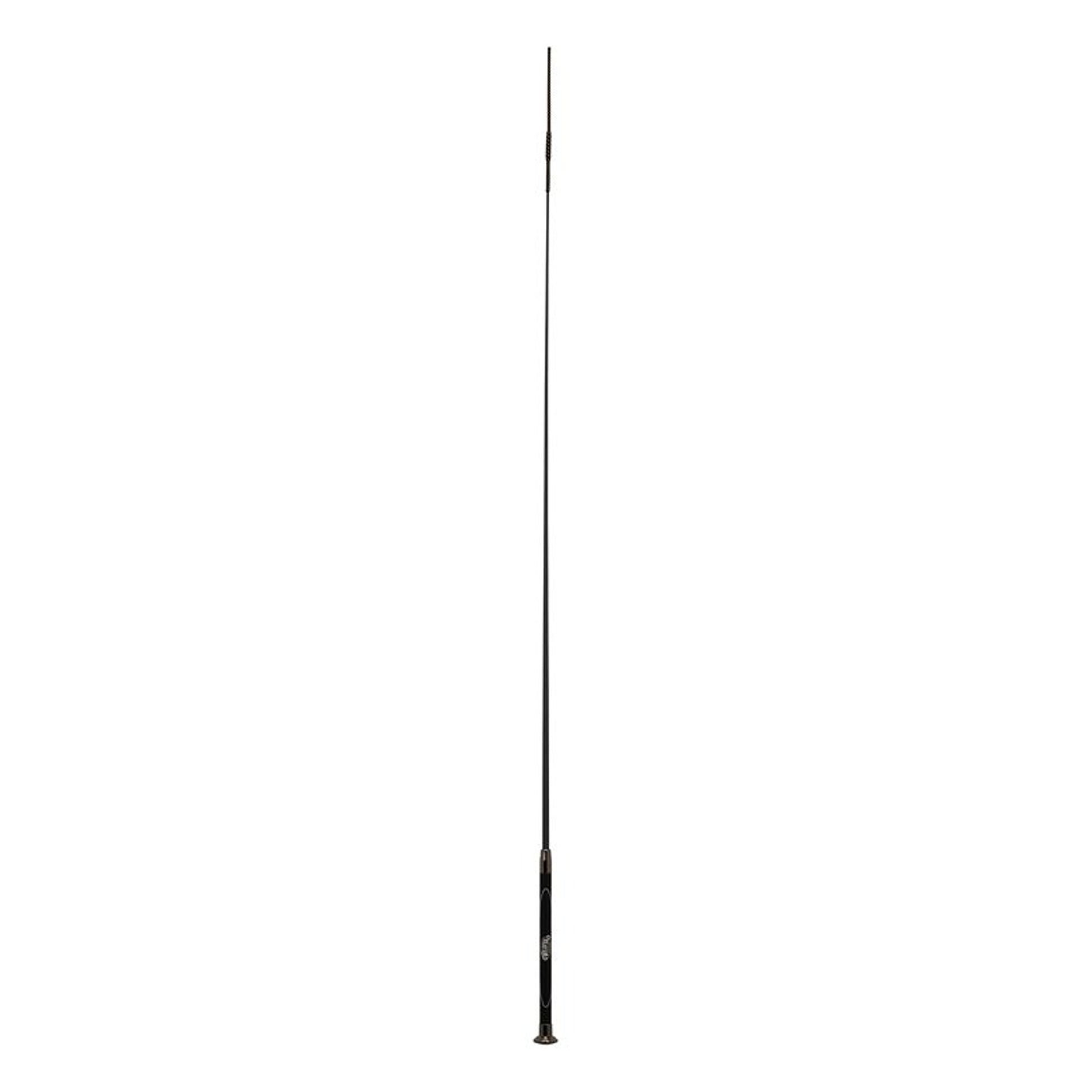 TE045123.jpg