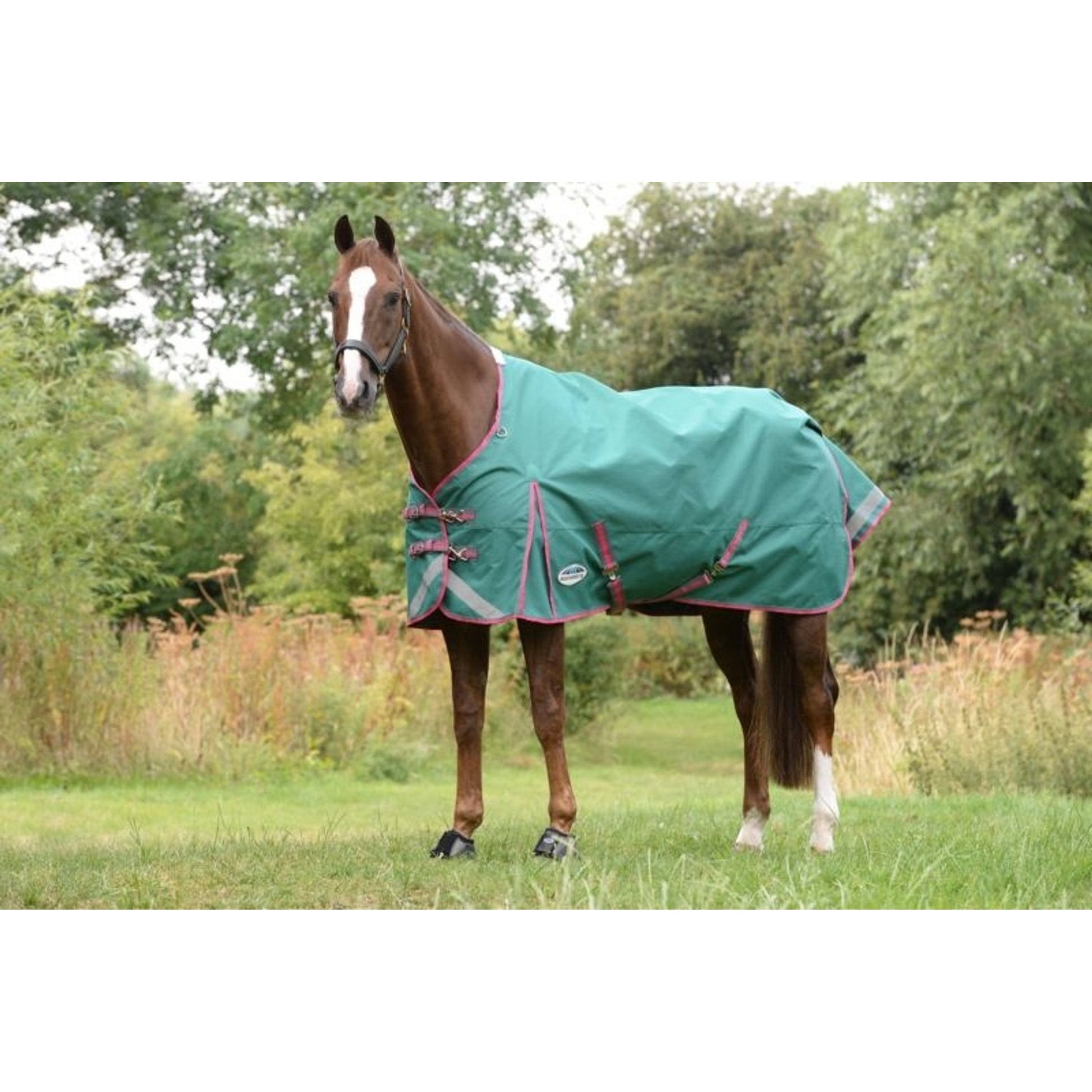 Weatherbeeta ComFiTec Plus Dynamic II Standard Neck Lite Turnout