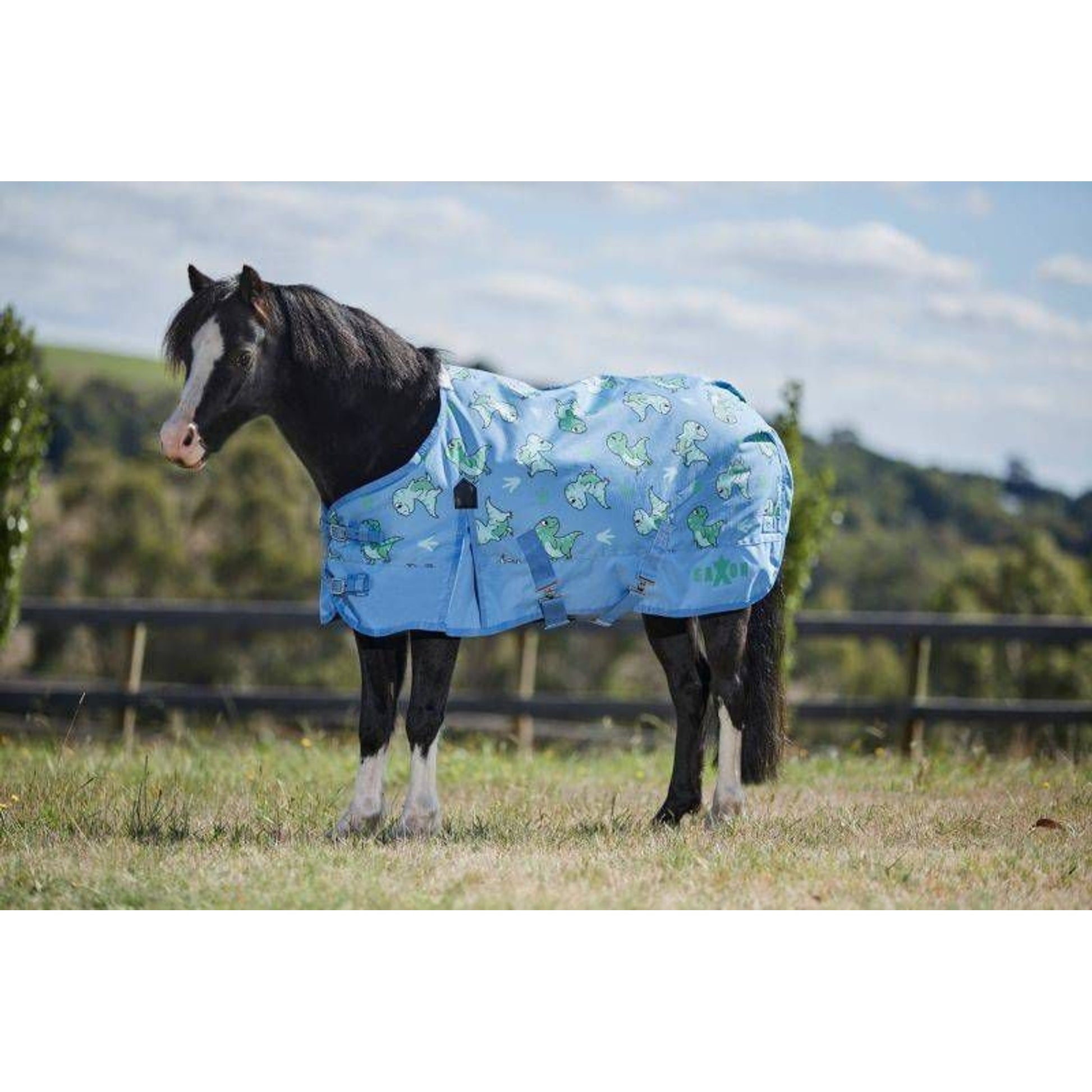 Saxon 600D Pony Standard Neck Lite