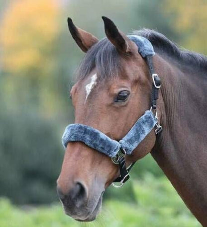 Shires Fleece Lined Headcollar