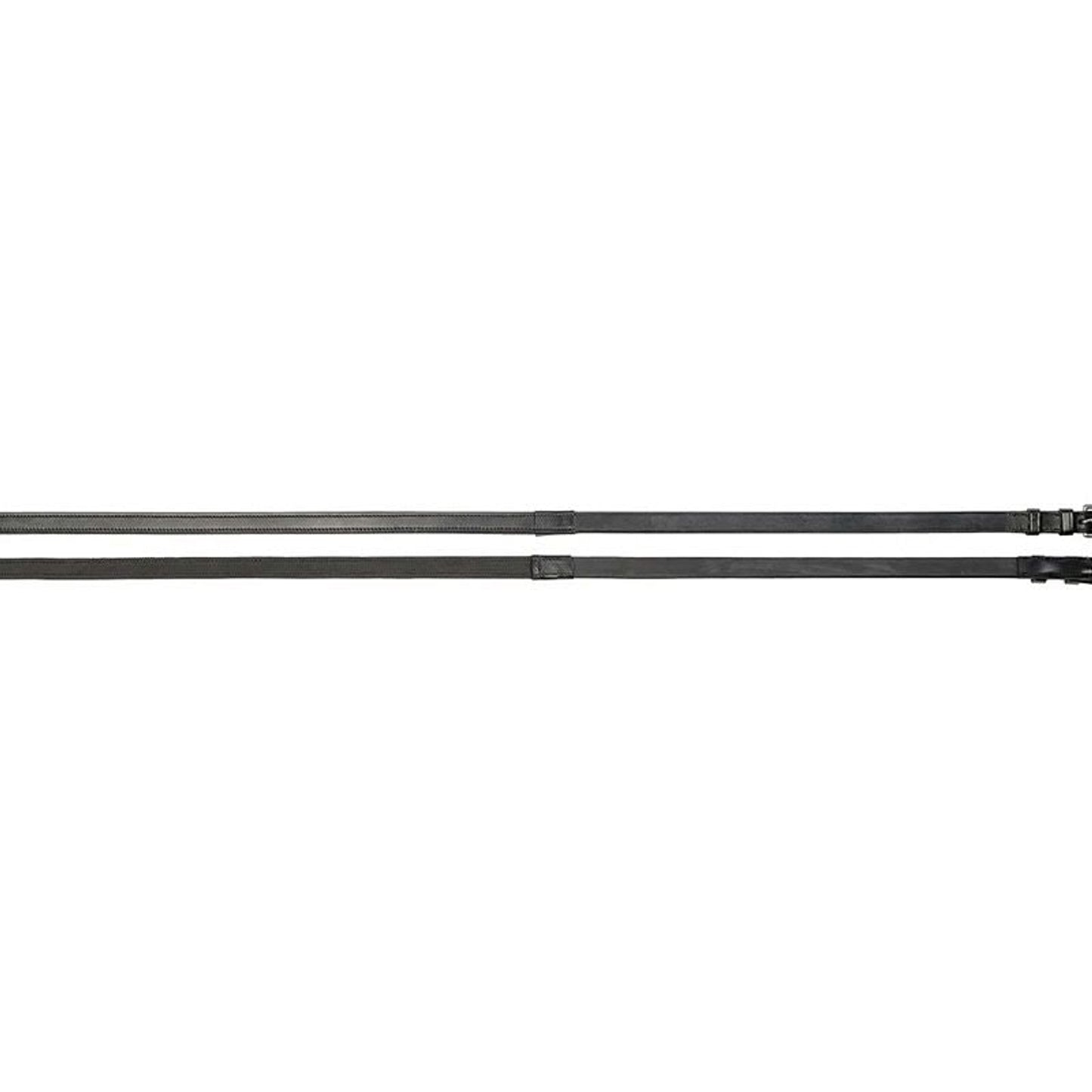 TE045960_P.jpg