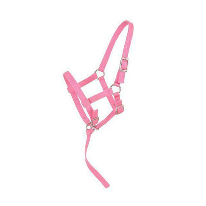 Tough1 Adjustable Foal Halter